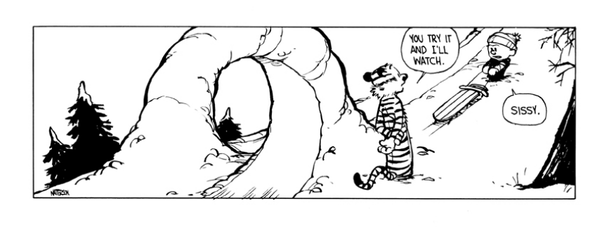 Random Calvin & Hobbes
