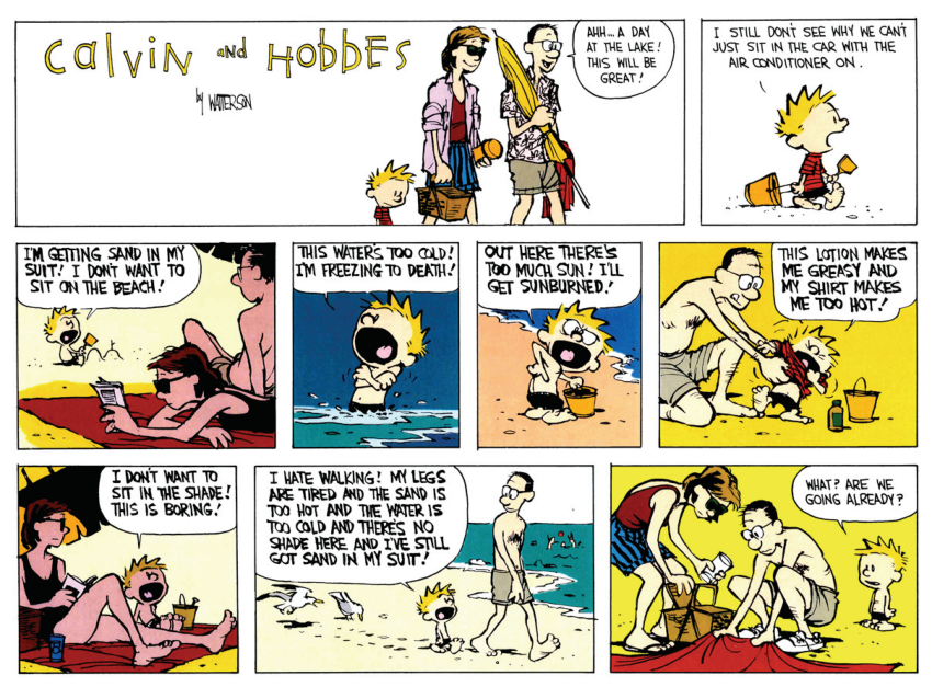Random Calvin & Hobbes