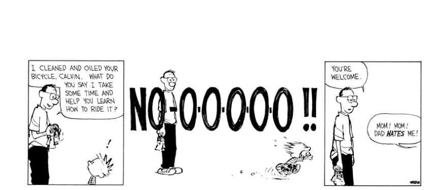 Random Calvin & Hobbes