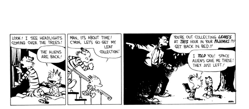 Random Calvin & Hobbes