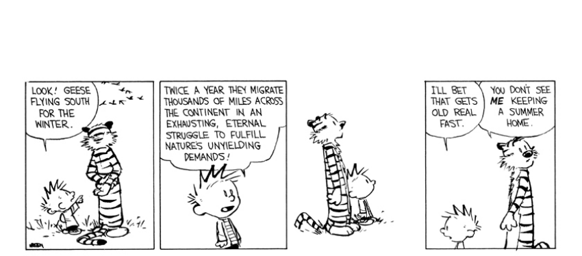 Random Calvin & Hobbes